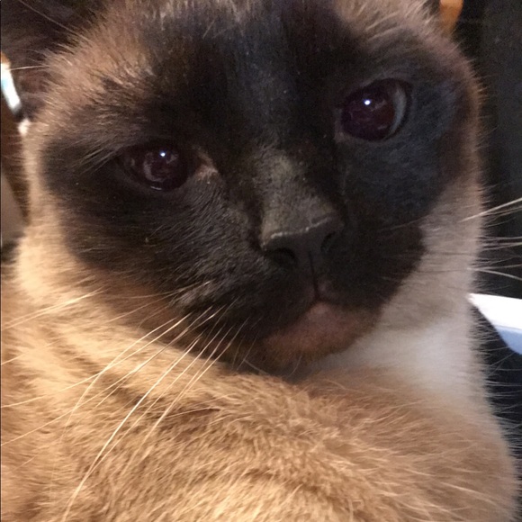 erinnporter
